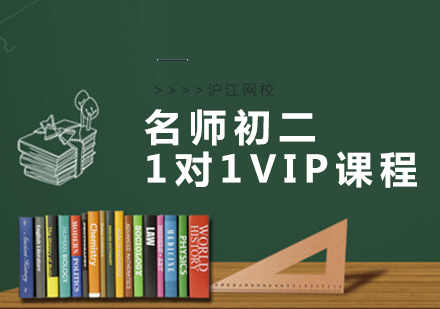 武汉初二1对1VIP培训课程