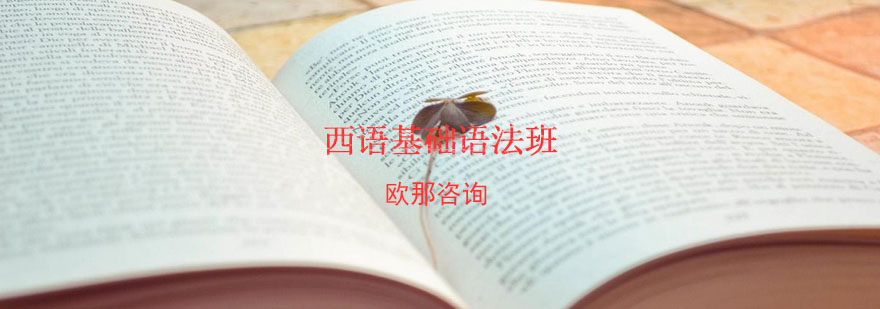 西语语法课堂实景