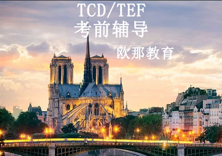 宁波TCD/TEF考前辅导课程