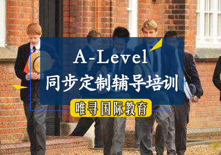 A-Level同步定制辅导培训