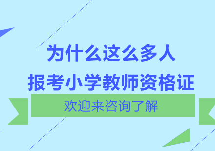 为什么这么多人报考小学教师资格证