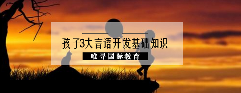 儿童语言发展关键期训练