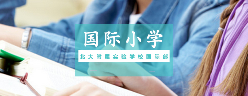 国际小学特色