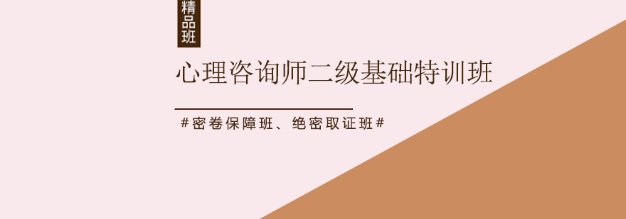 深圳心理咨询师二级基础特训班