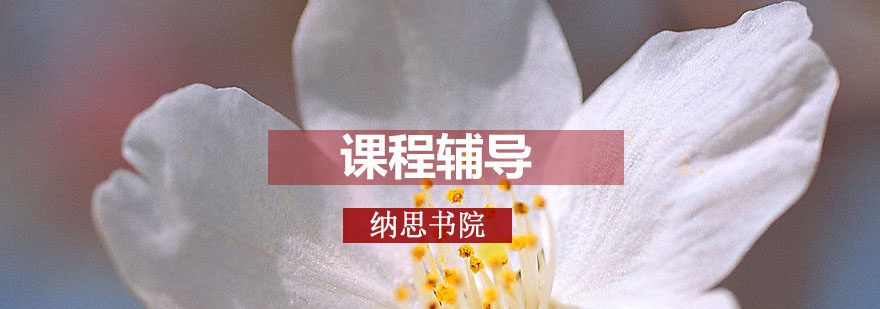 纳思教育环境