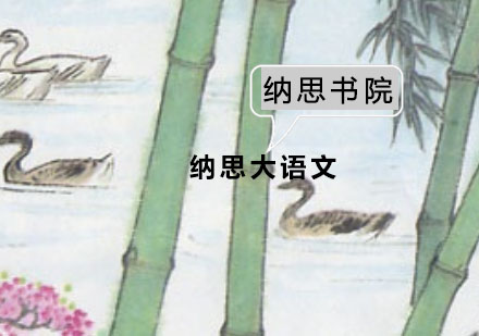 纳思大语文课程特色解析