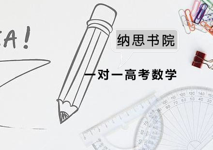 高考数学定制辅导方案解析