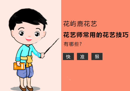花艺创作核心技法全解析