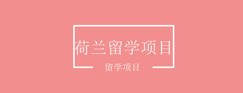 荷兰大学校园