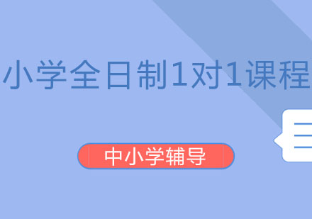 北京小学全日制1对1课程