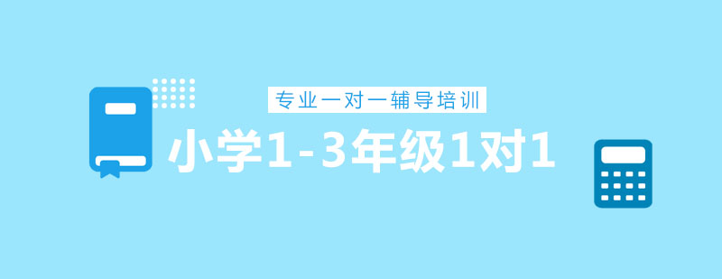 北京小学13年级1对1辅导课程