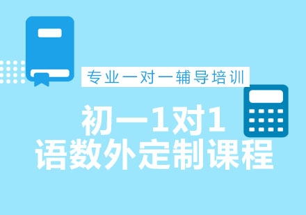 北京初一1对1语数外定制课程