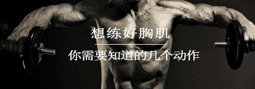 胸肌训练动作演示