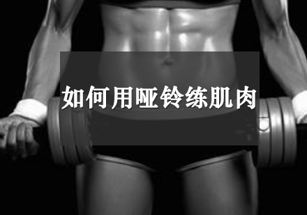 科学哑铃塑形训练全解析