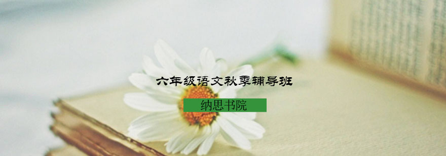 六年级语文秋季辅导课堂实景