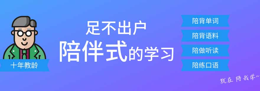 国际教学团队