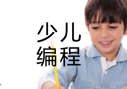 编程教育政策深度解读与未来人才培养路径