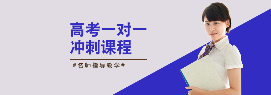 高考一对一冲刺课程