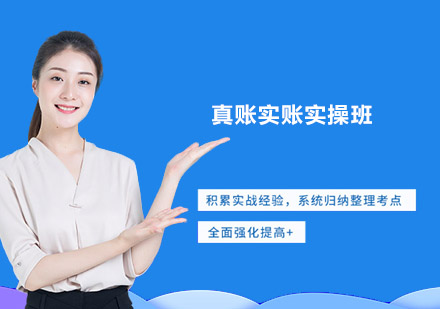 真账实账实操班