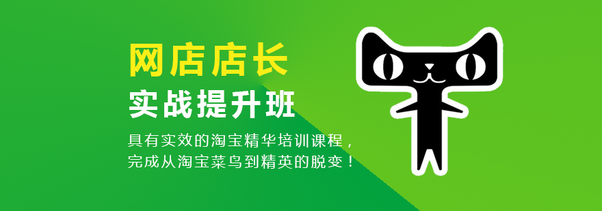 电商运营实战教学