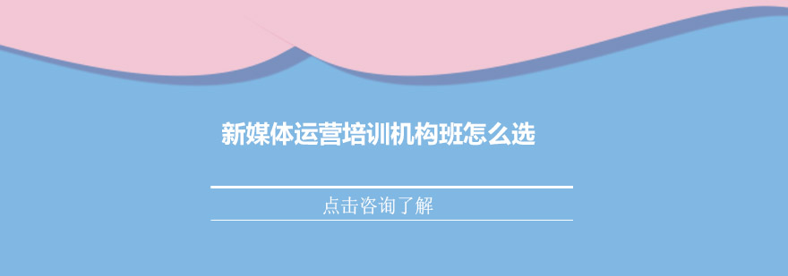新媒体运营课堂实景