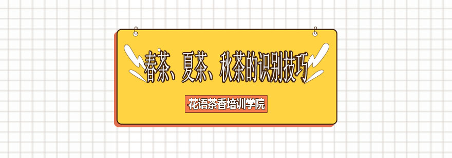 茶叶季节特征对比