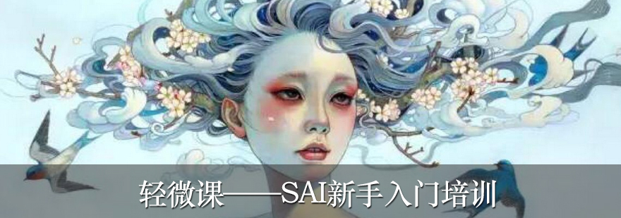 SAI绘制流程示例