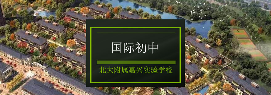 国际初中教育场景