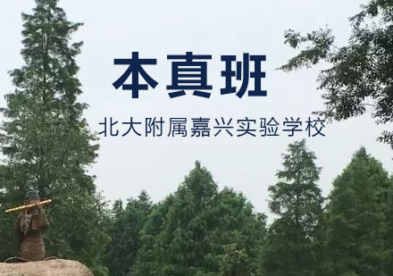 嘉兴国际学校课程