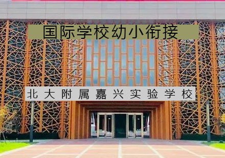 国际化幼小衔接教育模式深度解析