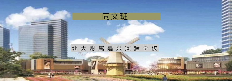国际课程体系示意图