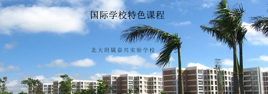 国际教育环境