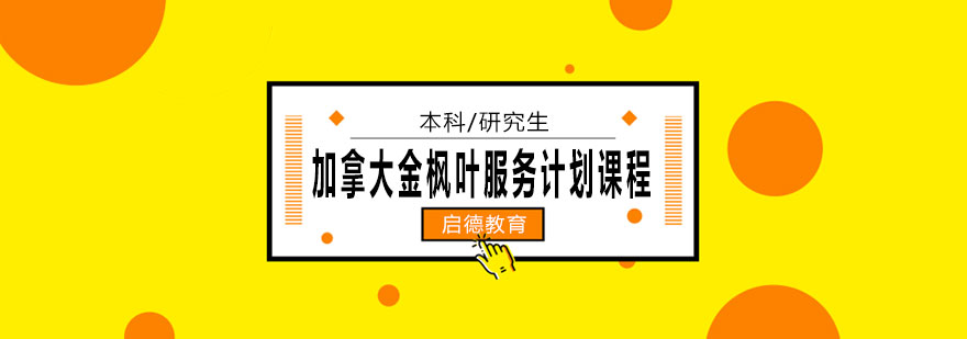 金枫叶服务流程导图