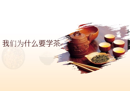 探索茶道课程：提升修养与拓展人际的五大路径