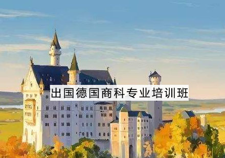 南京德国留学商科专业培训班