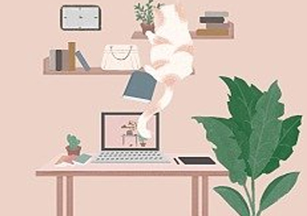 考研高效学习策略：每日8小时科学规划指南