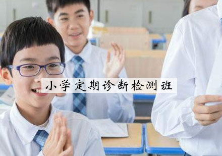 杭州小学定期诊断检测班