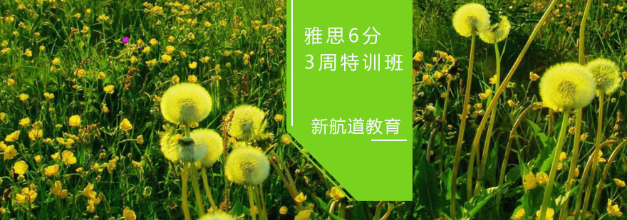 雅思封闭培训