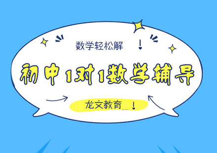 初中1对1数学辅导