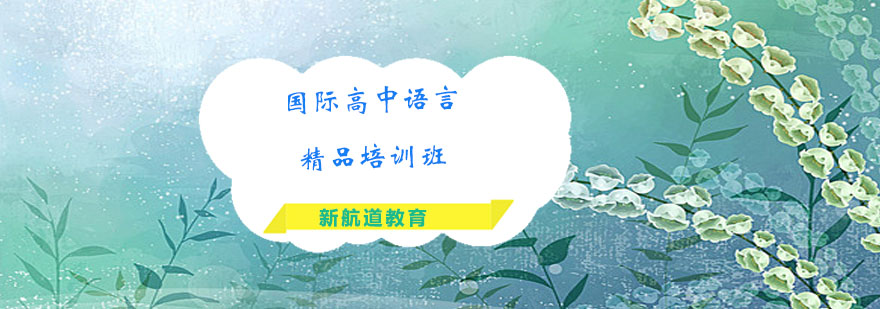 国际高中语言训练