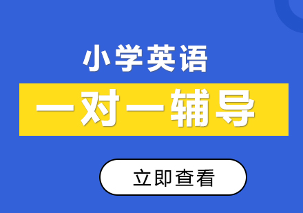 小学英语1对1课程