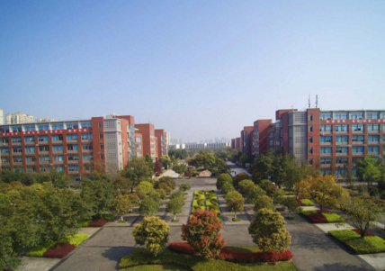 学校全景