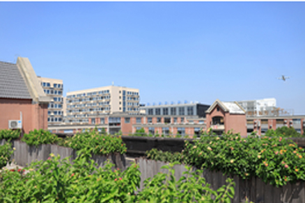 学校环境图7