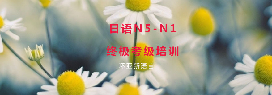 日语考级课程体系