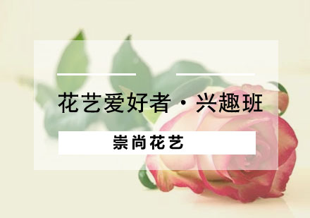 花艺爱好者·兴趣班