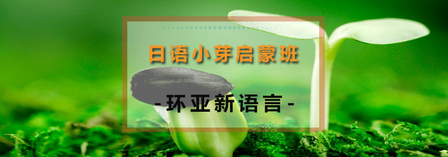 日语启蒙课程实景