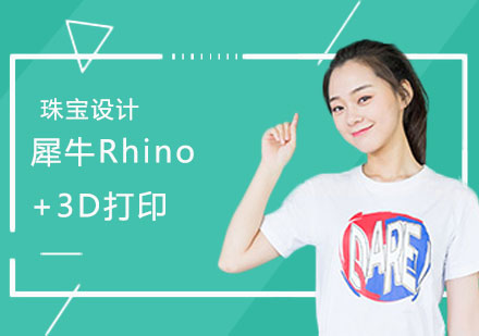 上海犀牛Rhino+3D打印