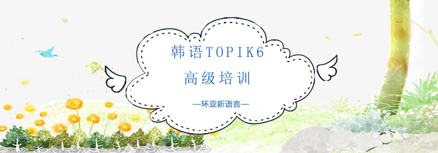 韩语高级课程教学场景