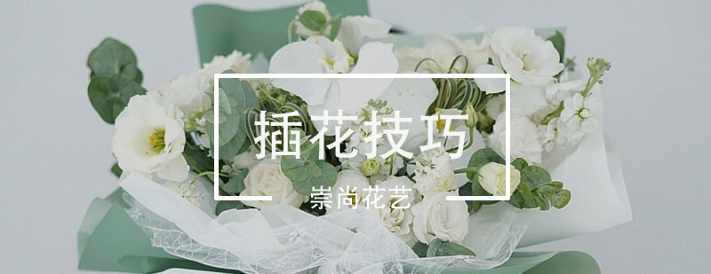 花材保鲜处理
