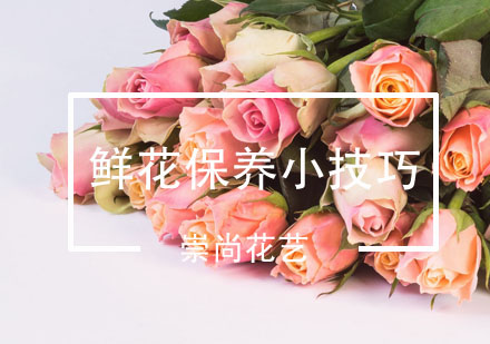 鲜花保鲜养护全攻略